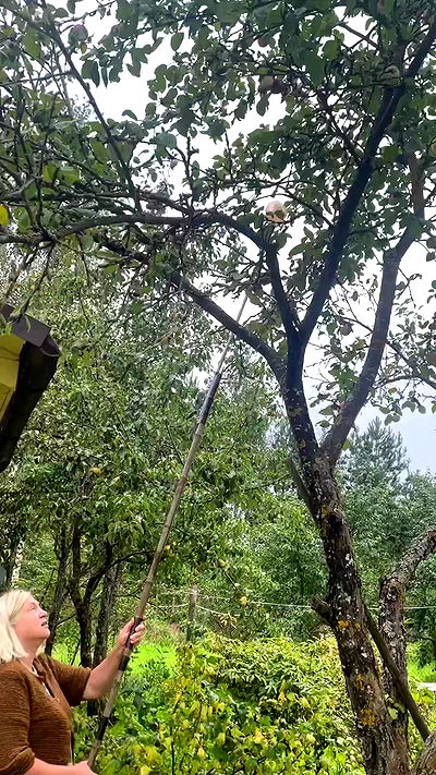 howeversnowy howeversnowy archive video