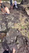 jaz.brice Altpins Profile Picture