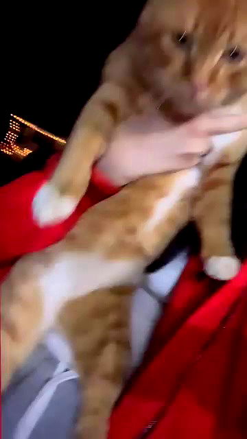 oqr0_ oqr0_ archive video