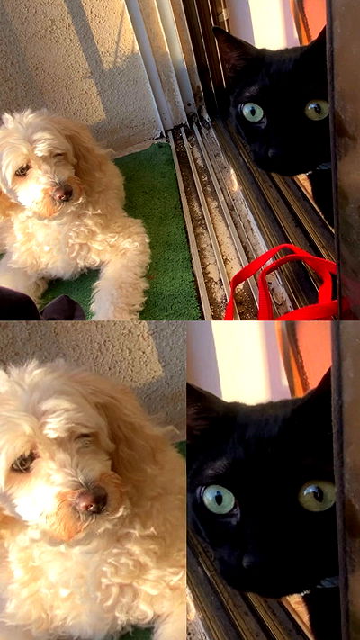 feelbetterinmysweater feelbetterinmysweater archive video