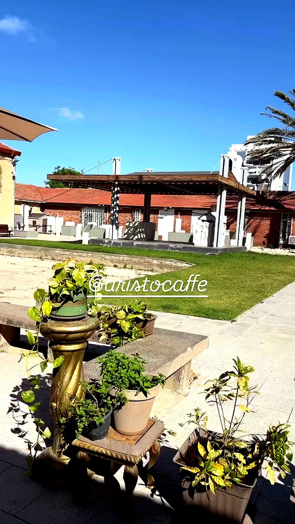 natahalieeee archive video preview