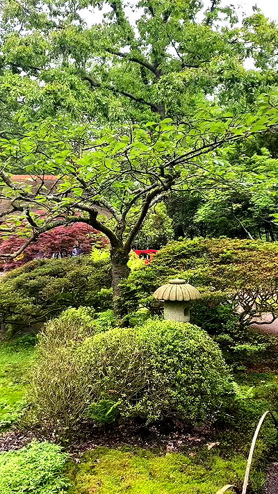 yam_adler yam_adler archive video