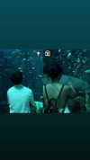 danchiii6403__ Altpins Profile Picture