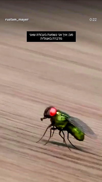 1justsabi 1justsabi archive video