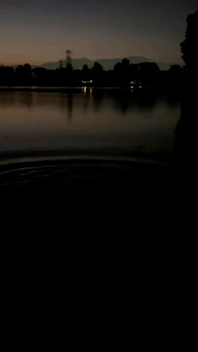 zommmbri zommmbri archive video