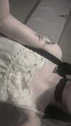 veildose Altpins Profile Picture