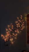 daniiiiichka Altpins Profile Picture