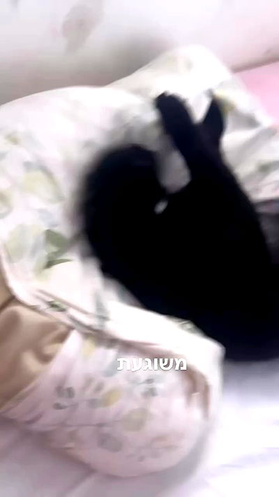 hellokittyangel666 hellokittyangel666 archive video