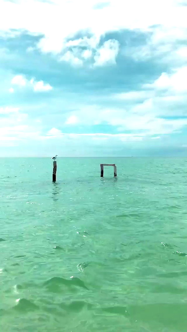 noa_mendel_ archive video preview