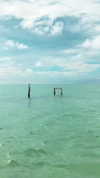 noa_mendel_ Altpins Profile Picture