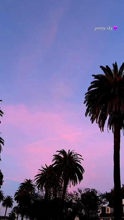 payton.r payton.r archive video