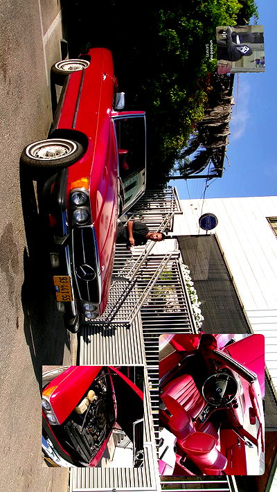 simp_for_cats_ simp_for_cats_ archive video