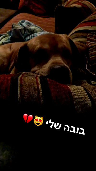 lissi77 lissi77 archive video