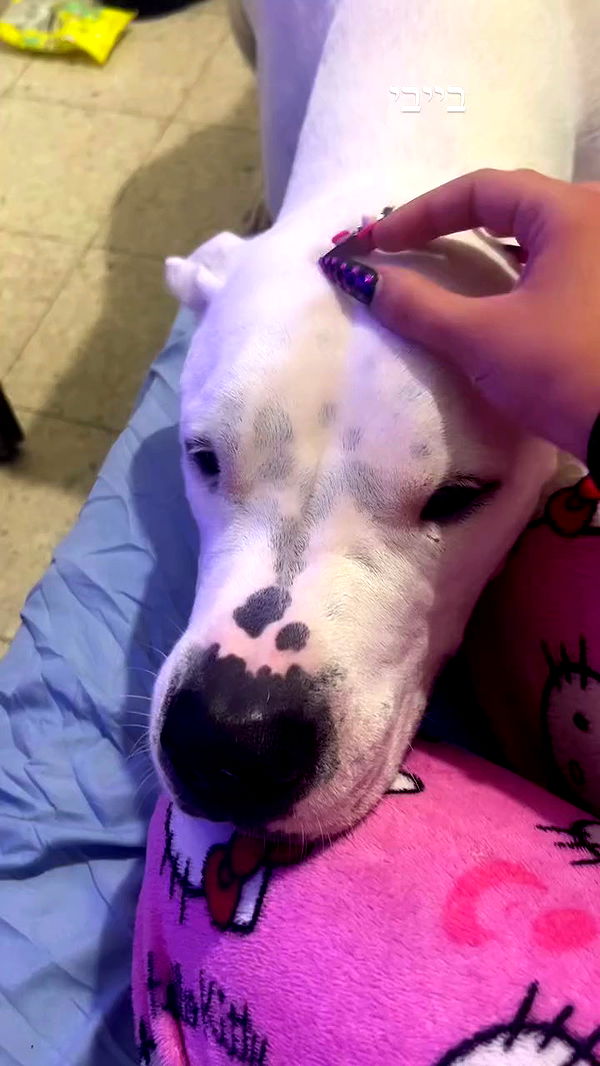 hellokittyangel666 archive video preview