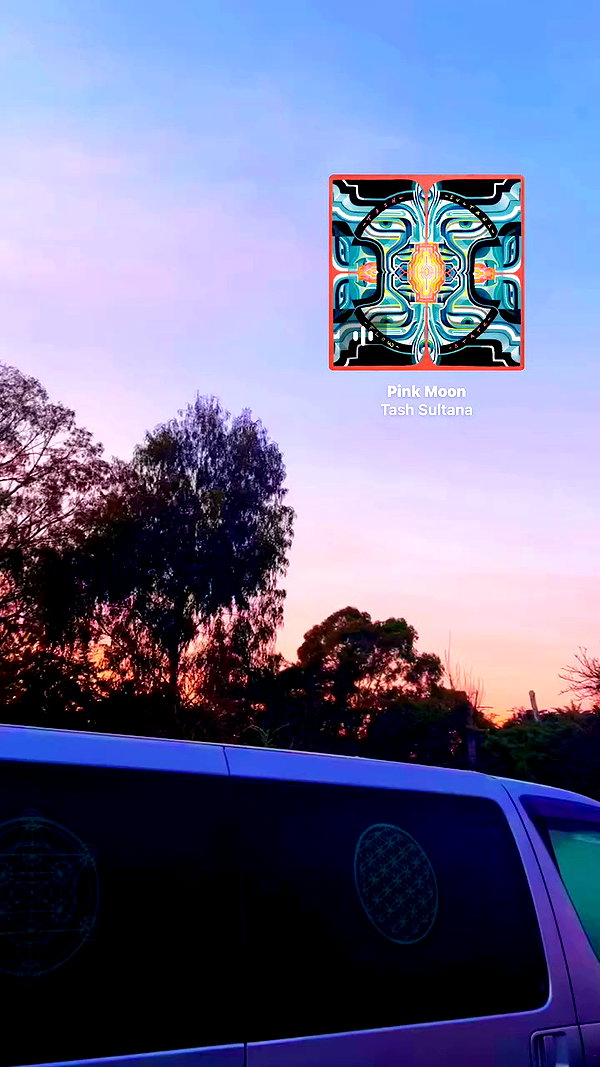 aleiisha.piixiie archive video preview