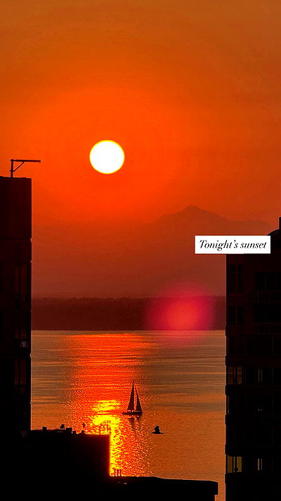 tatum.ricee tatum.ricee archive video