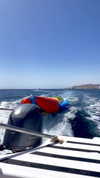 lital.oss Altpins Profile Picture