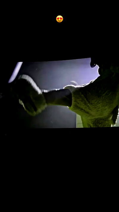 djami.lyalya djami.lyalya archive video