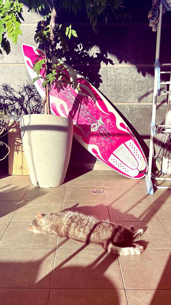 natahalieeee archive video preview