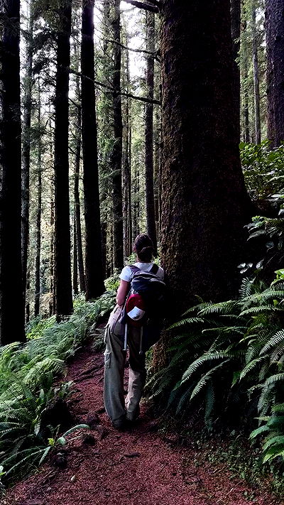 rachelc00k rachelc00k archive video