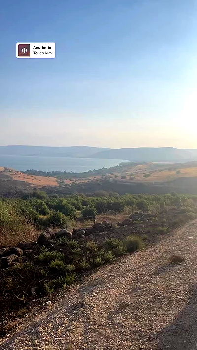 tinapavlov.sky tinapavlov.sky archive video