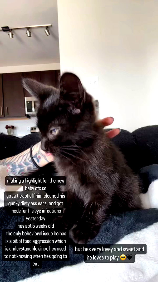 magg0tfleshh archive video preview