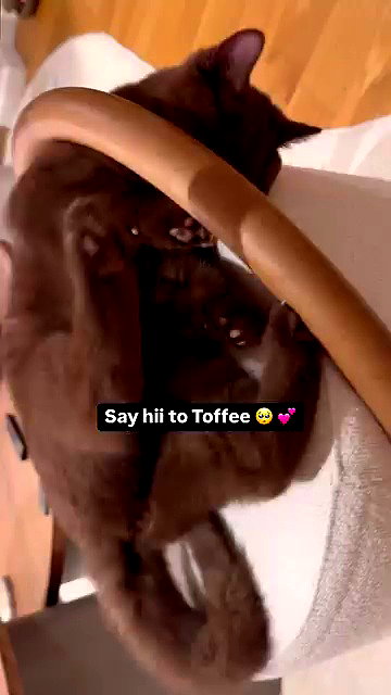 nicoleponyxo archive video preview