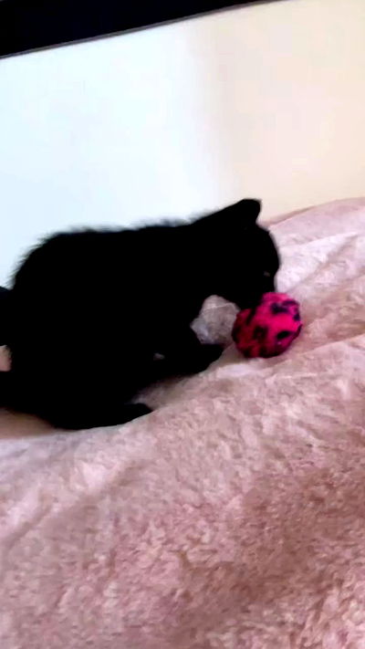 aekamee aekamee archive video