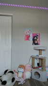 cat2_bat Altpins Profile Picture
