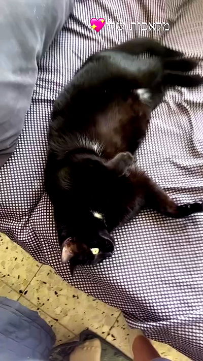 hellokittyangel666 hellokittyangel666 archive video