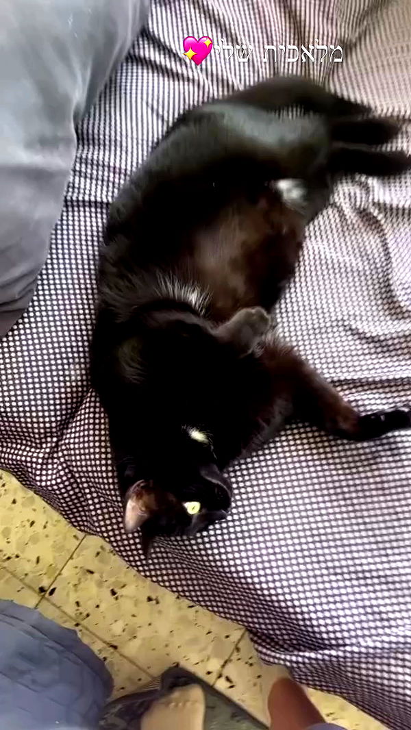 hellokittyangel666 archive video preview