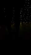 larin_manor10 Altpins Profile Picture