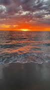 eloise_wensley Altpins Profile Picture