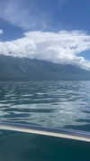 noy.razz Altpins Profile Picture