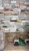 julieta.allegretti Altpins Profile Picture
