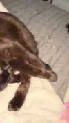ashley.scarr Altpins Profile Picture