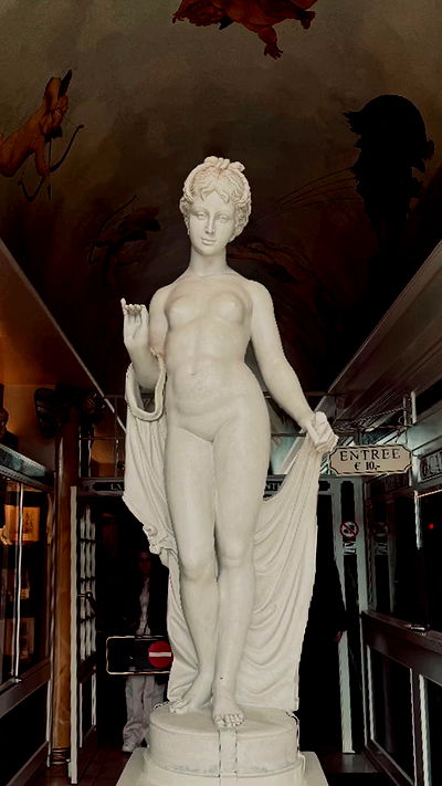 seilorkittyofficial seilorkittyofficial archive video