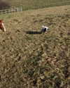 elena_blur Altpins Profile Picture
