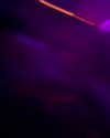 paigee.preston Altpins Profile Picture