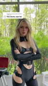 lordemperorkatt Altpins Profile Picture
