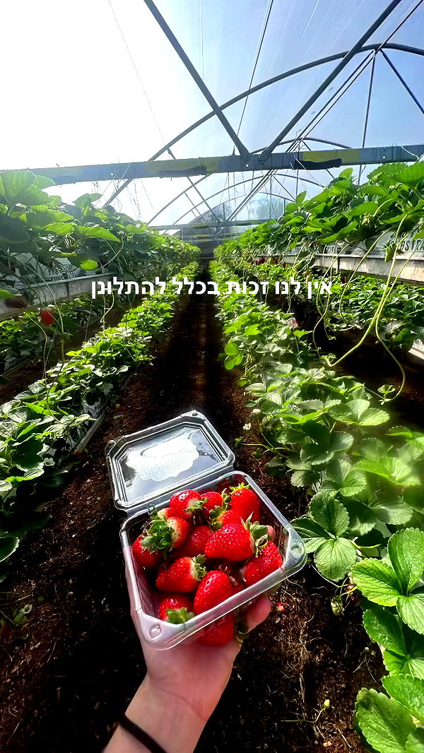 yulialam__ archive video preview