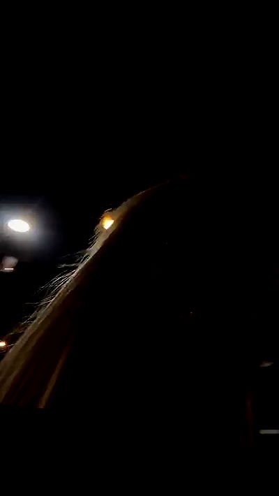 gwendolynceline gwendolynceline archive video