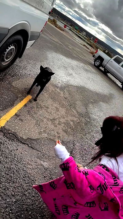 zommmbri zommmbri archive video