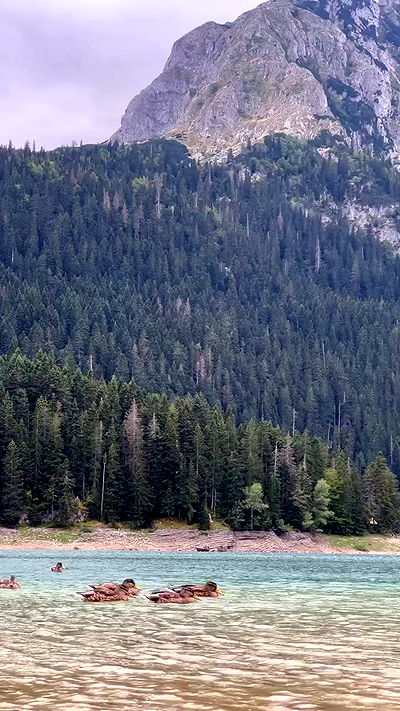 itsilanosh itsilanosh archive video