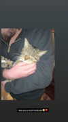 heathergrace67 Altpins Profile Picture