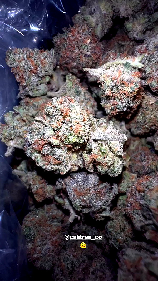bakedsloths archive video preview