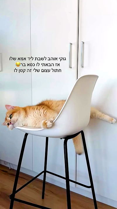 itsilanosh itsilanosh archive video