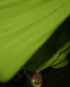 beyonce Altpins Profile Picture