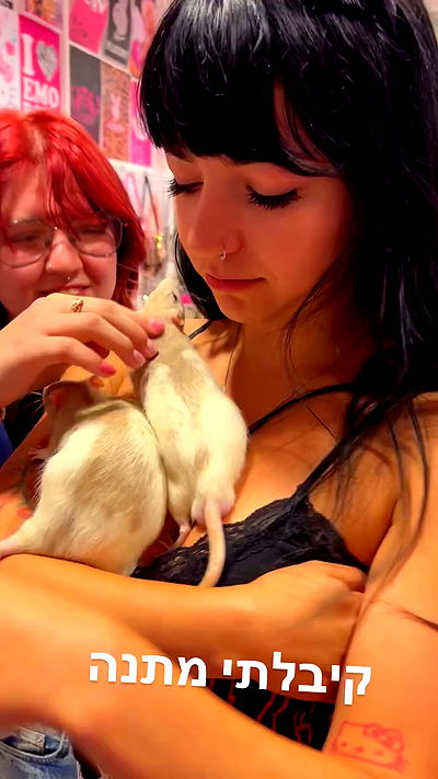 yam_adler yam_adler archive video