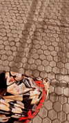 omer._shalom Altpins Profile Picture